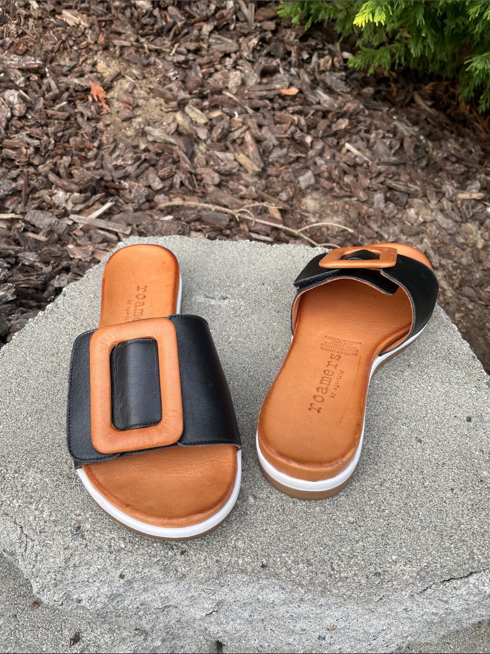 roamers Leather Black and Tan Slide Mules with Buckle Accent